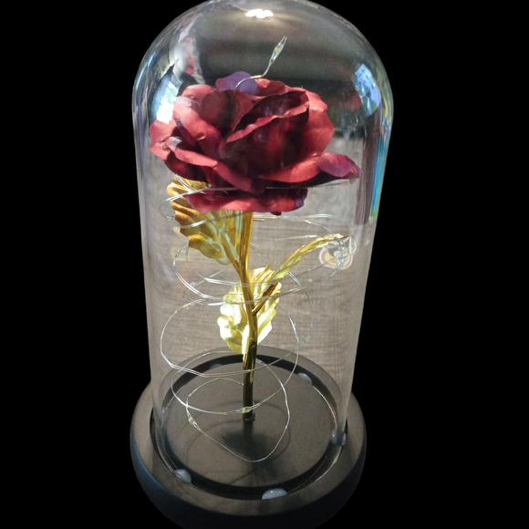 Elegant Glass Dome Roses (Mother's Day Gift Idea) - Picture 3 of 4